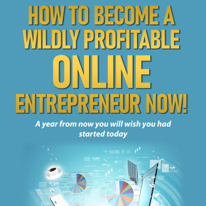 How To Become a Wildly Profitable Online Entrepreneur Now - E-Book by Thomas Prosi